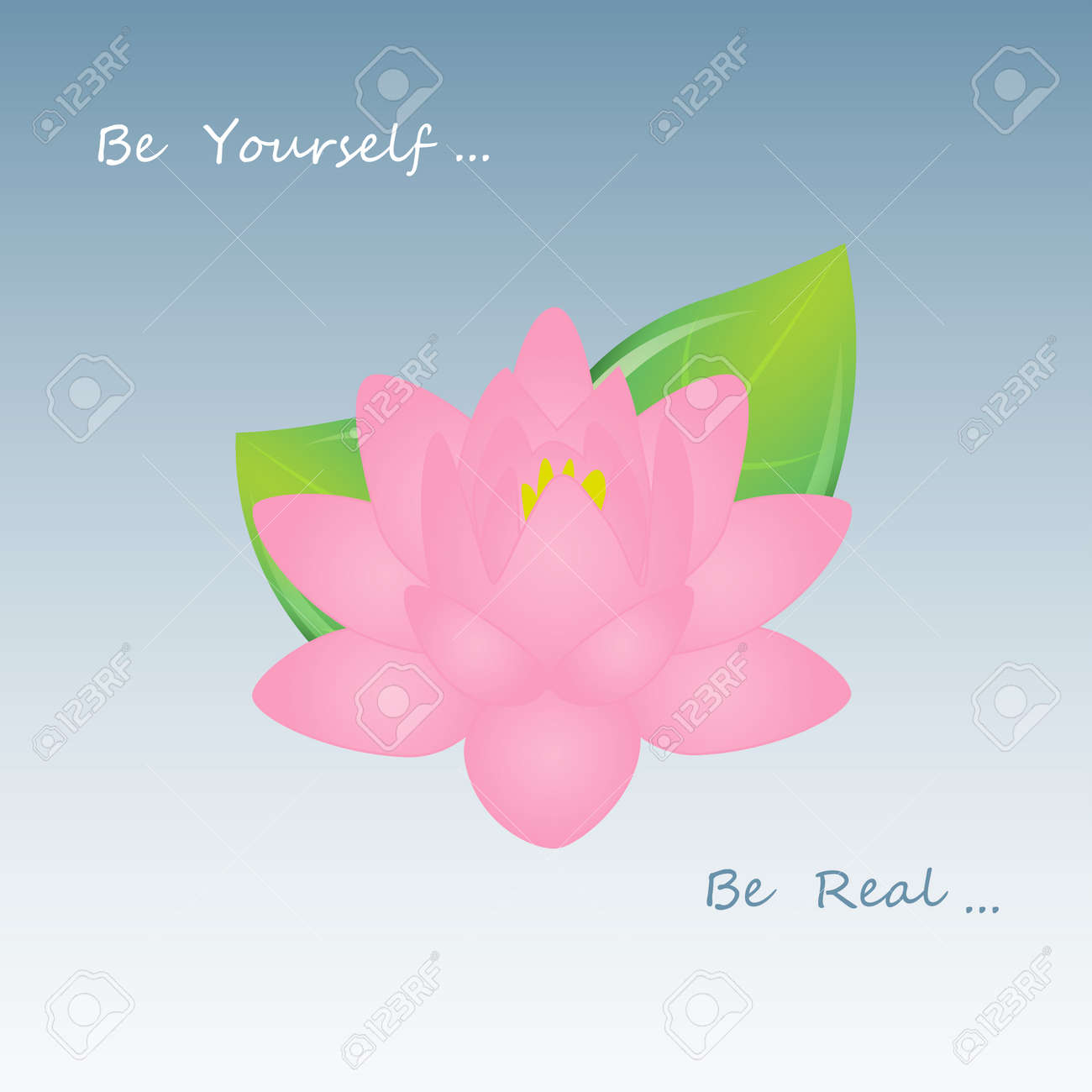 pink lotus flower with