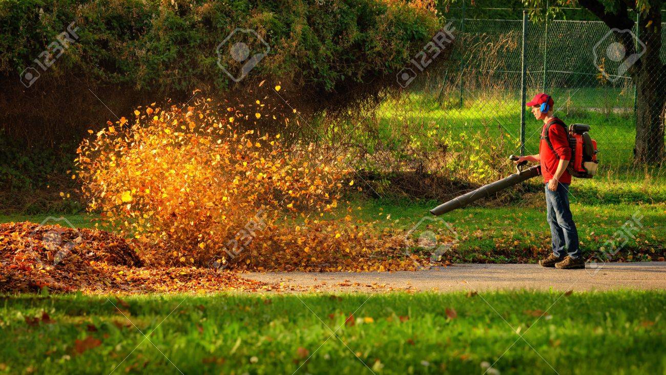 Man operating a heavy duty leaf blower: the leaves are being swirled up and glow in the pleasant sunlight - 65438191 Man operating a heavy duty leaf blower: the leaves are being swirled up and glow in the pleasant sunlight - 65438191