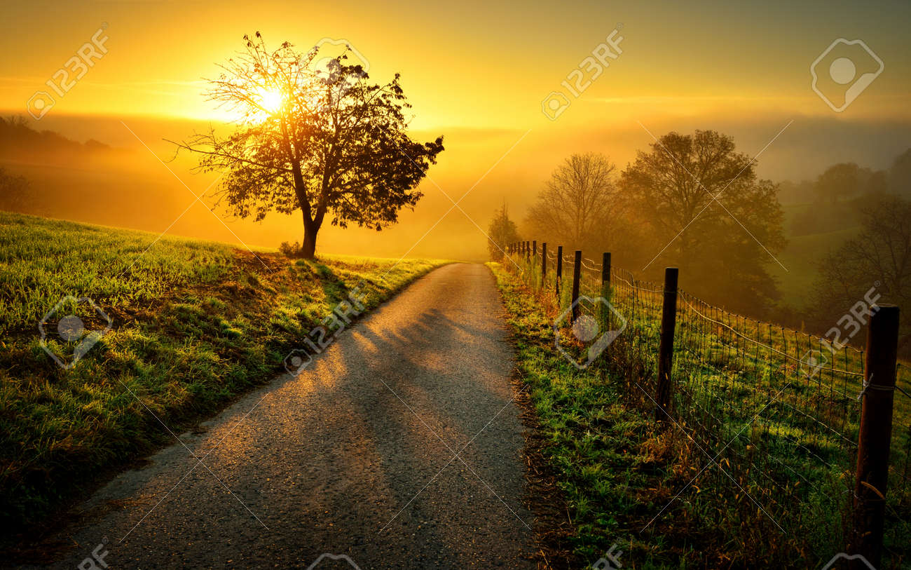 Idyllic rural landscape on a hill with a tree on a meadow at sunrise, a path leads into the warm gold light - 64461478 Idyllic rural landscape on a hill with a tree on a meadow at sunrise, a path leads into the warm gold light - 64461478
