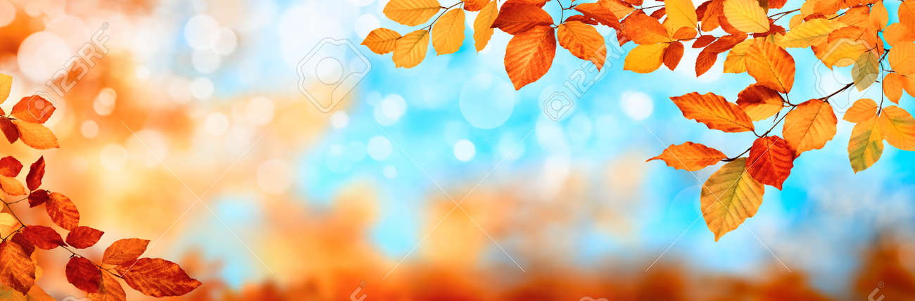 Colorful autumn background in panoramic format, with red and gold leaves framing the blue bokeh highlights - 154893780 Colorful autumn background in panoramic format, with red and gold leaves framing the blue bokeh highlights - 154893780