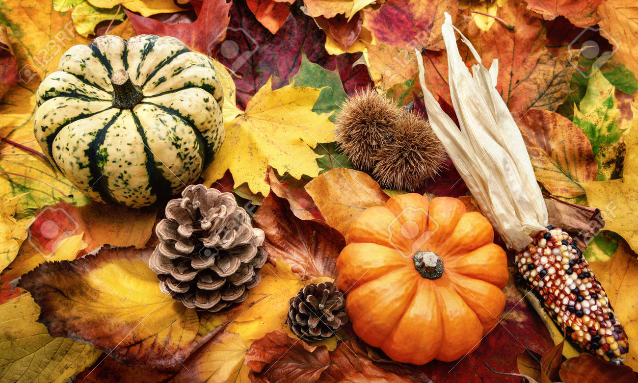 Autumn decoration arranged with natural items such as colorful dry leaves, chestnuts, ornamental pumpkins and cones - 155805922 Autumn decoration arranged with natural items such as colorful dry leaves, chestnuts, ornamental pumpkins and cones - 155805922