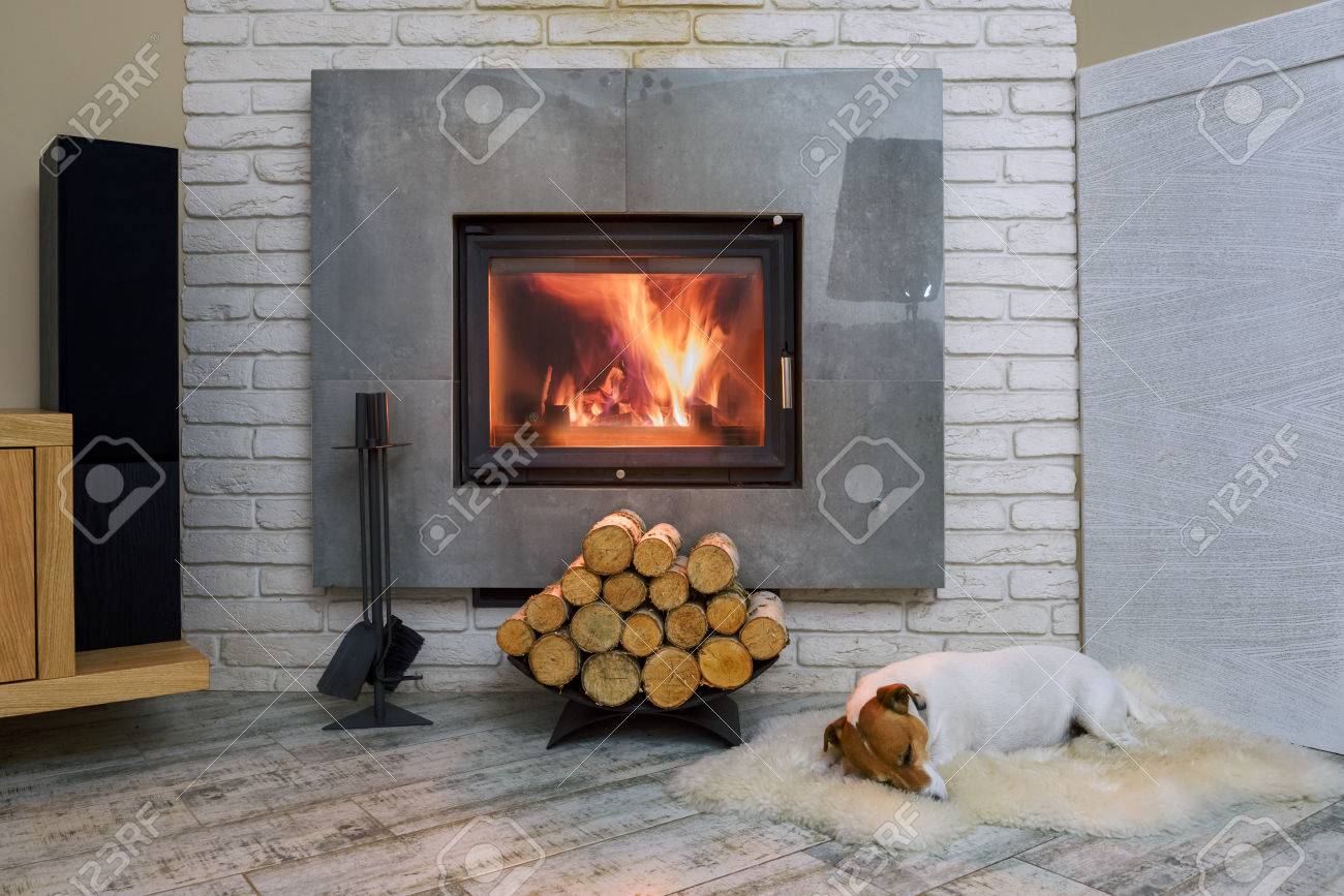 Jack russel terrier sleeping on a white rug near the burning fireplace. Resting dog. Hygge concept - 85288452 Jack russel terrier sleeping on a white rug near the burning fireplace. Resting dog. Hygge concept - 85288452
