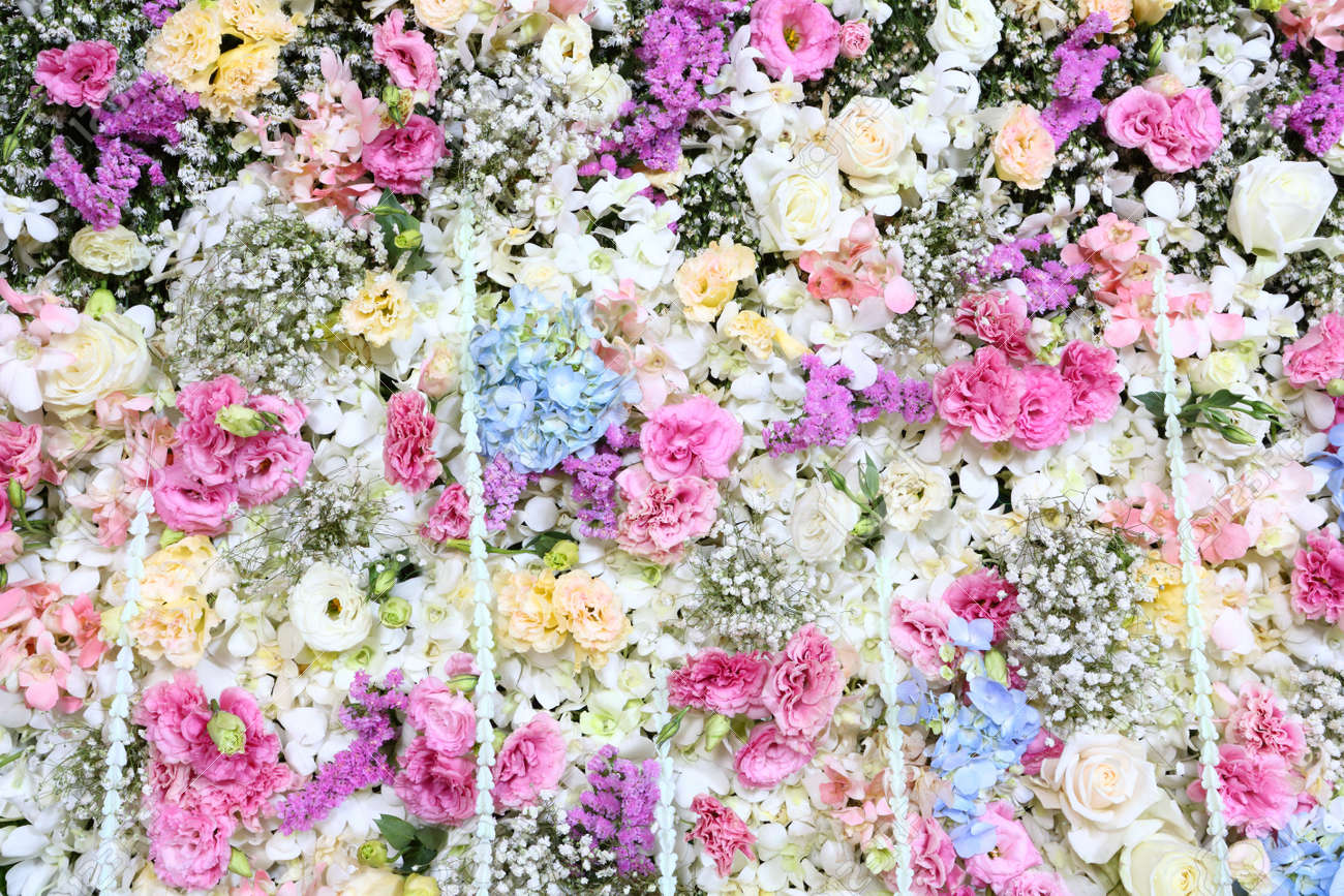 real flower background