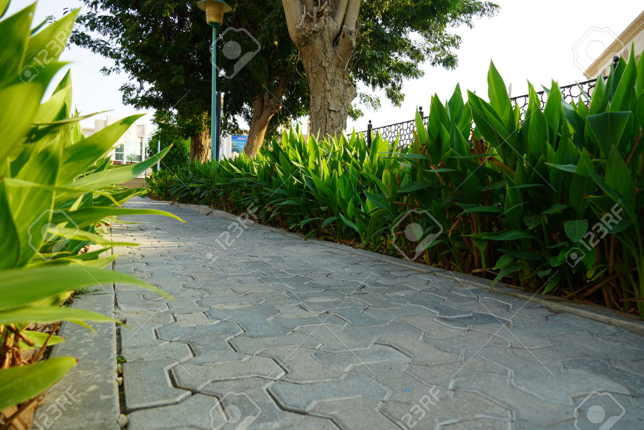 Scenic View Of Landscaped Path With Plants And Stones In Yard Stock Photo Picture And Royalty Free Image Image 150478926