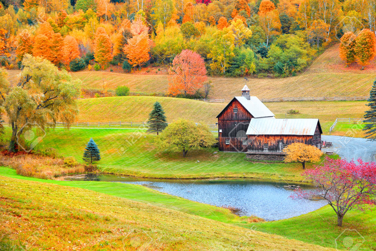 Barn in rural Vermont in autumn time. - 73481250 Barn in rural Vermont in autumn time. - 73481250