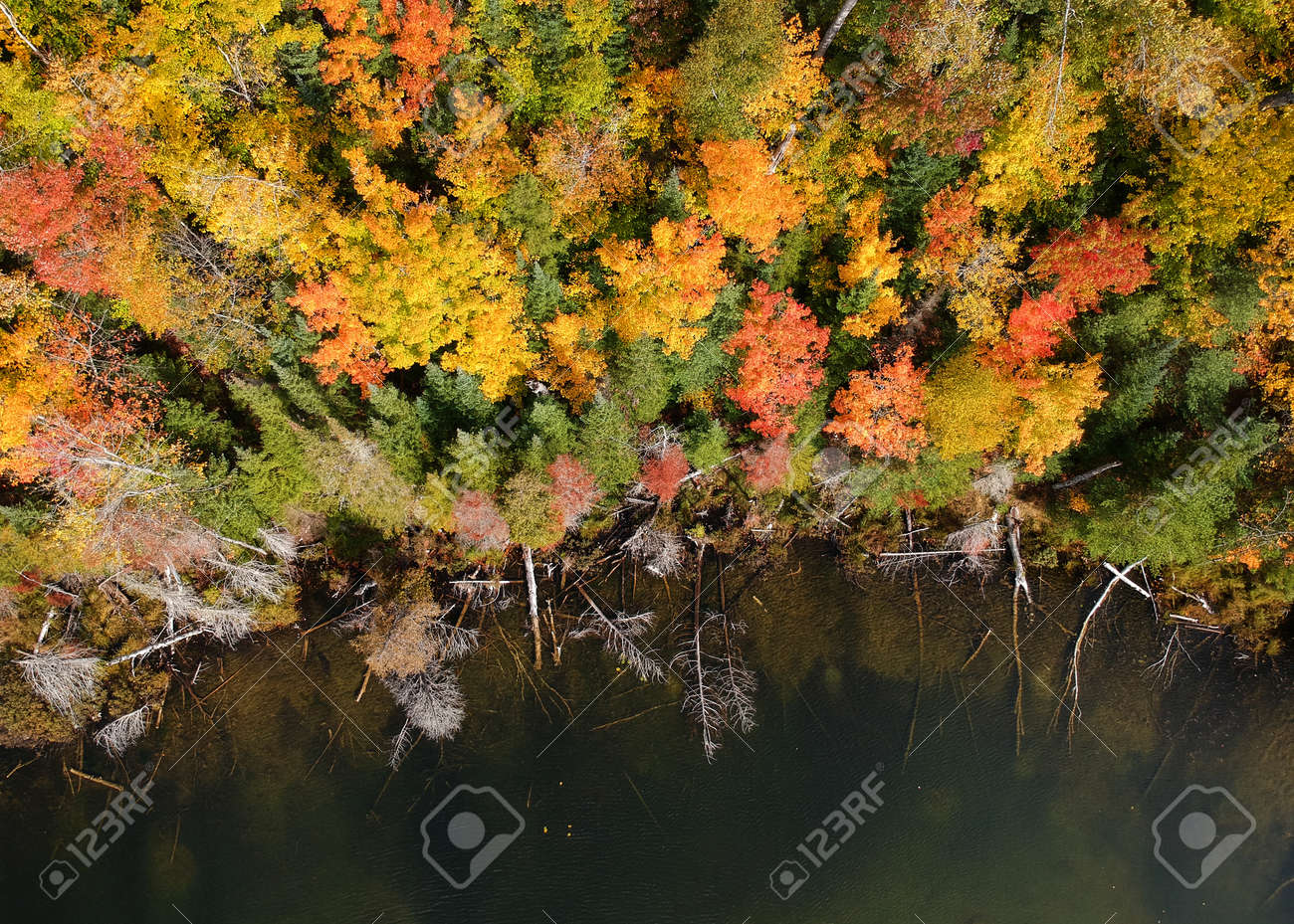 Aerial view of fall foliage along Council lake in Michigan upper Peninsula - 163916596 Aerial view of fall foliage along Council lake in Michigan upper Peninsula - 163916596