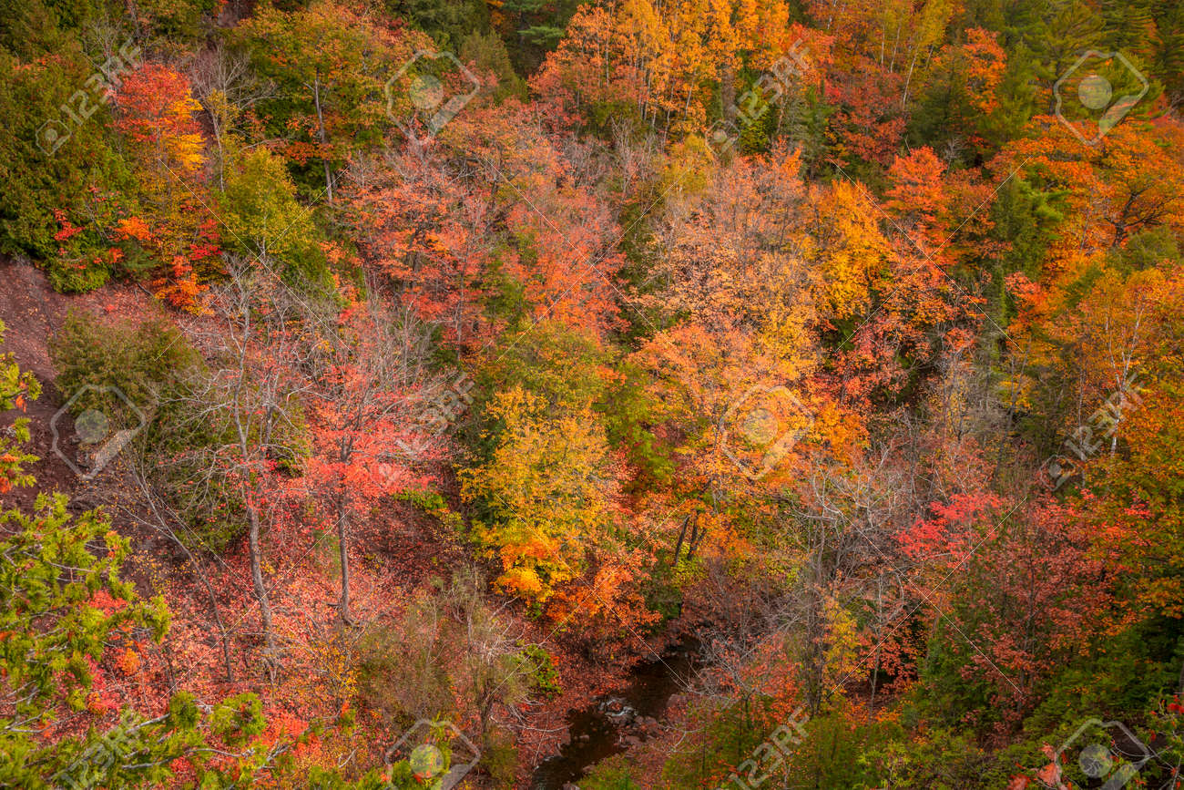 Aerial shot of colorful fall foliage along Hammell creek in Michigan upper peninsula - 163916620 Aerial shot of colorful fall foliage along Hammell creek in Michigan upper peninsula - 163916620