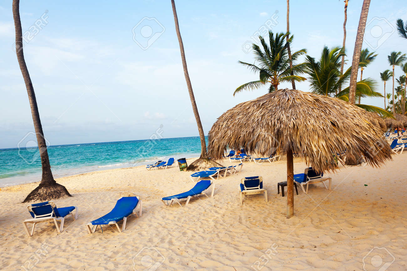 beach parasol on the