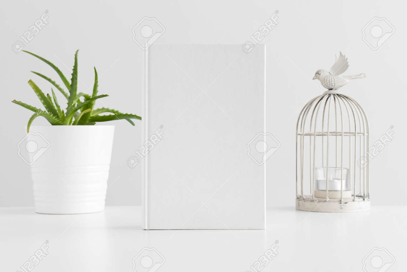 Download White Book Mockup With A Succulent Plant And A Candle Holder Stock Photo Picture And Royalty Free Image Image 152023975