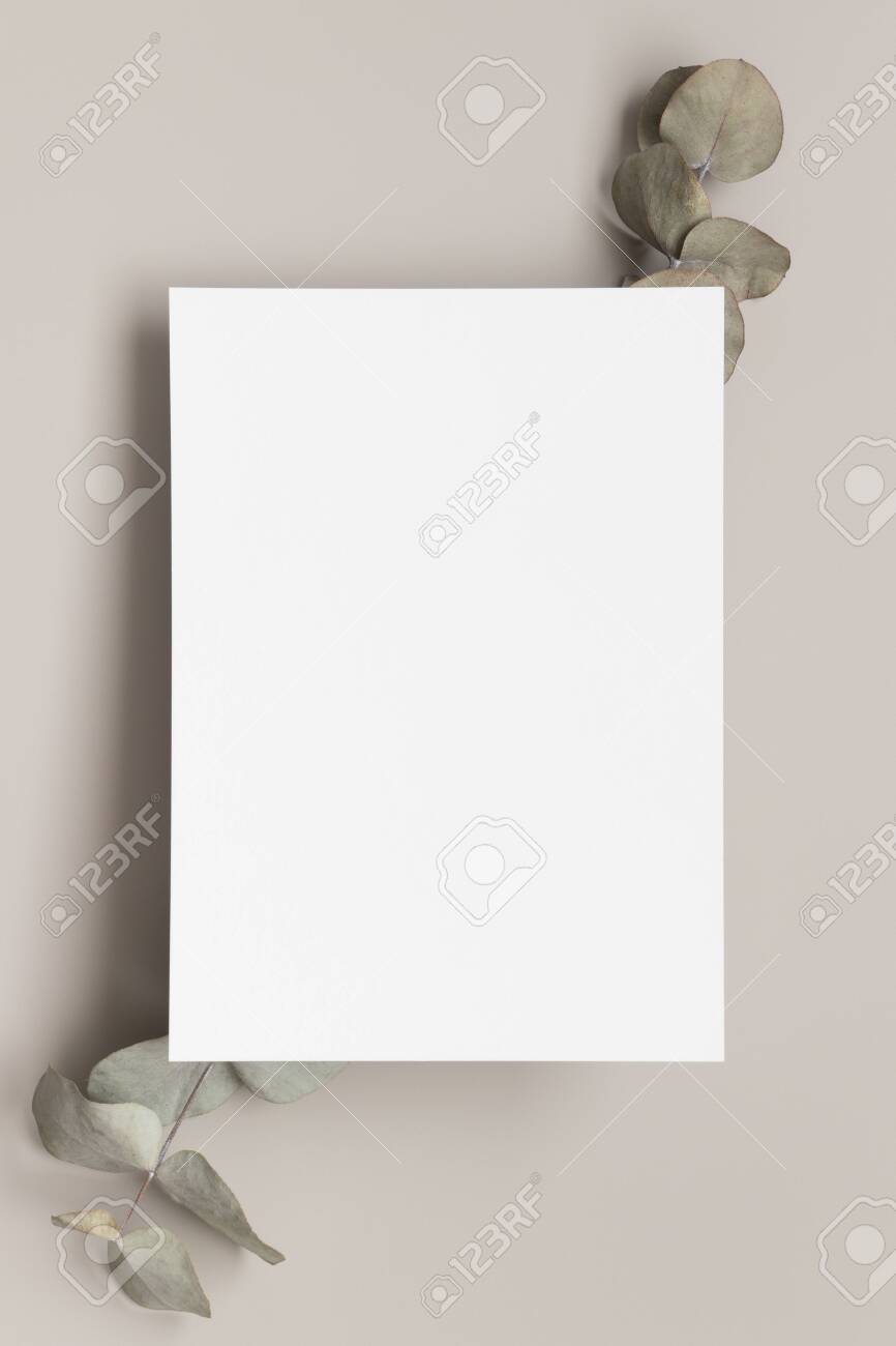 Download Invitation White Card Mockup With Eucalyptus Branches 5x7 Ratio Stock Photo Picture And Royalty Free Image Image 158543205