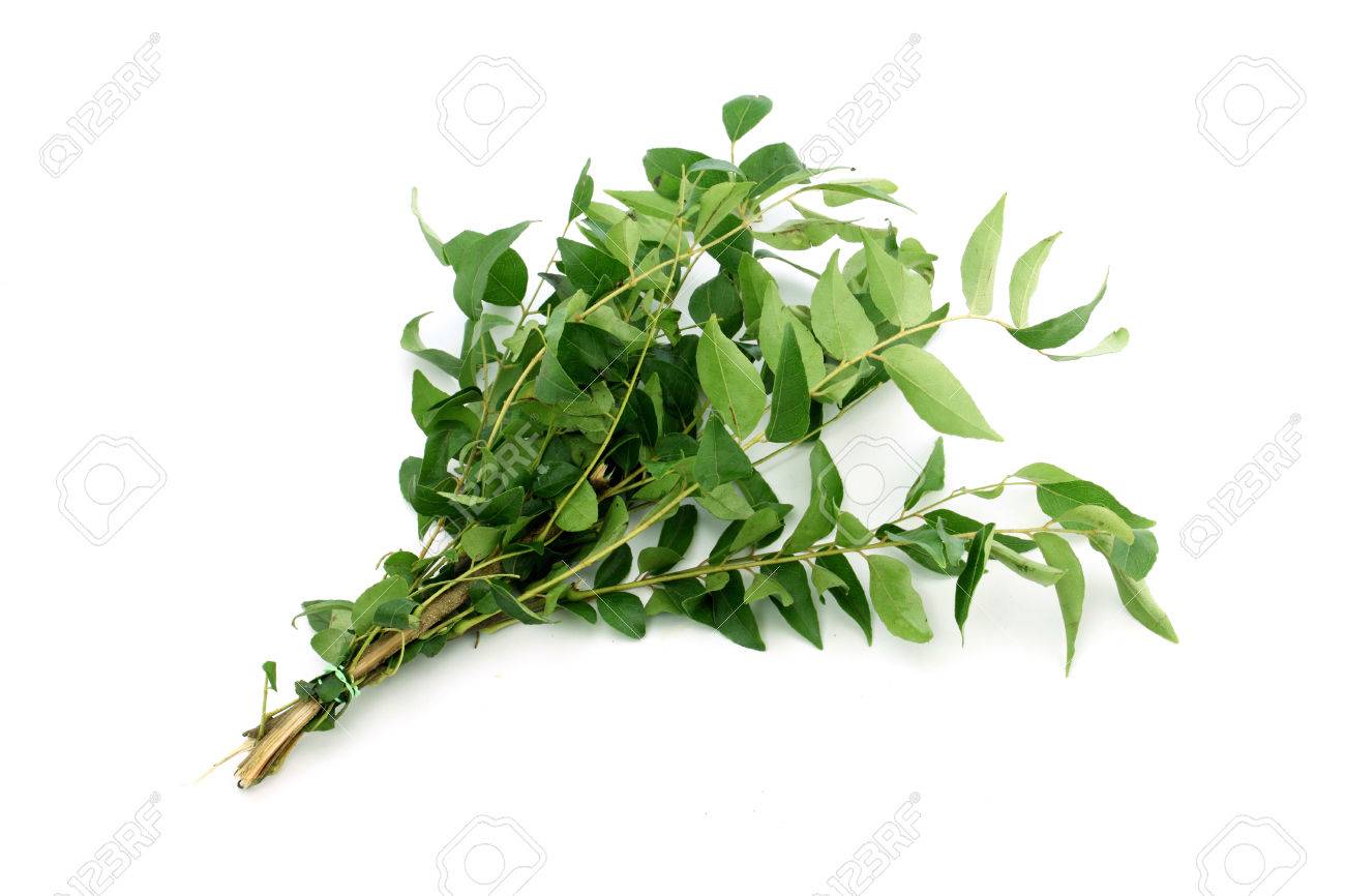 Green Curry Or Sweet Neem Leaves Stock Photo Picture And Royalty