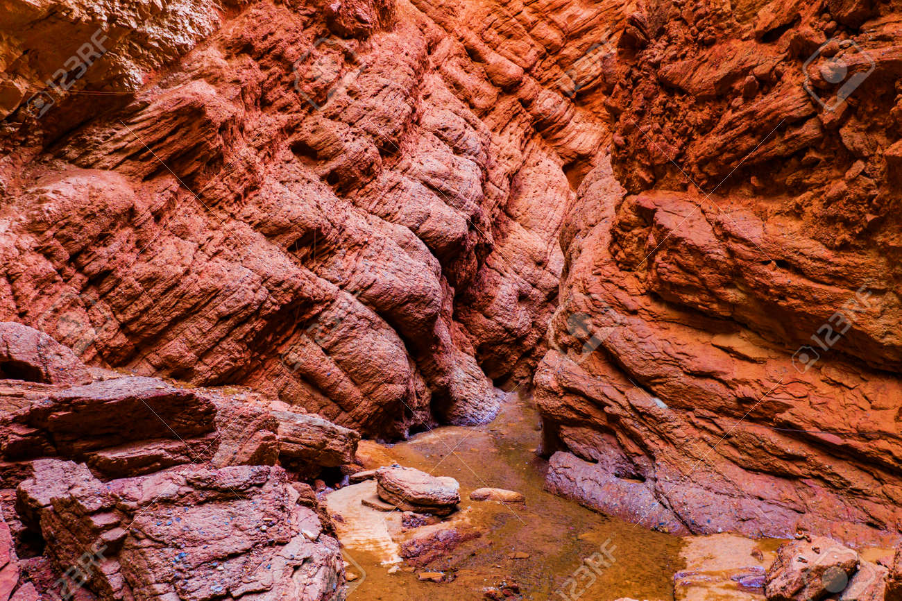 Tour privado de 8 días por la zona pastoral de Tianshan en el norte de  Xinjiang (alojamiento de alta gama en la zona escénica + té de la tarde en  el lago, image size:1300x866