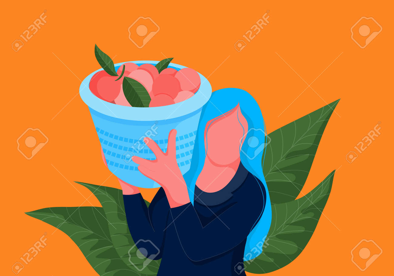 Orange picker. Woman carrying basket full of oranges on her shoulder. Bright illustration - 163715293 Orange picker. Woman carrying basket full of oranges on her shoulder. Bright illustration - 163715293