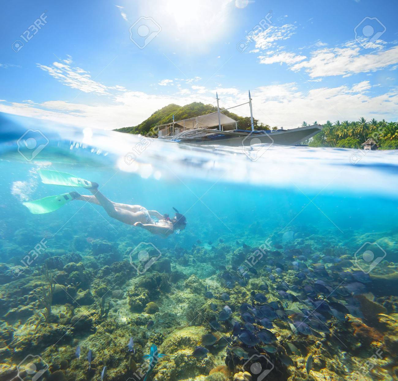 アポ島で晴れた日の美しい水中世界 フィリピン の写真素材 画像素材 Image