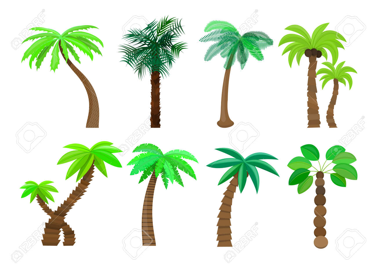 Palmier Isolé Dans Le Style De Dessin Animé Sur Un Fond Blanc Vector Illustration Arbres Dété Plage Tropicale Du Soleil Un Sujet Naturel Pour Vos