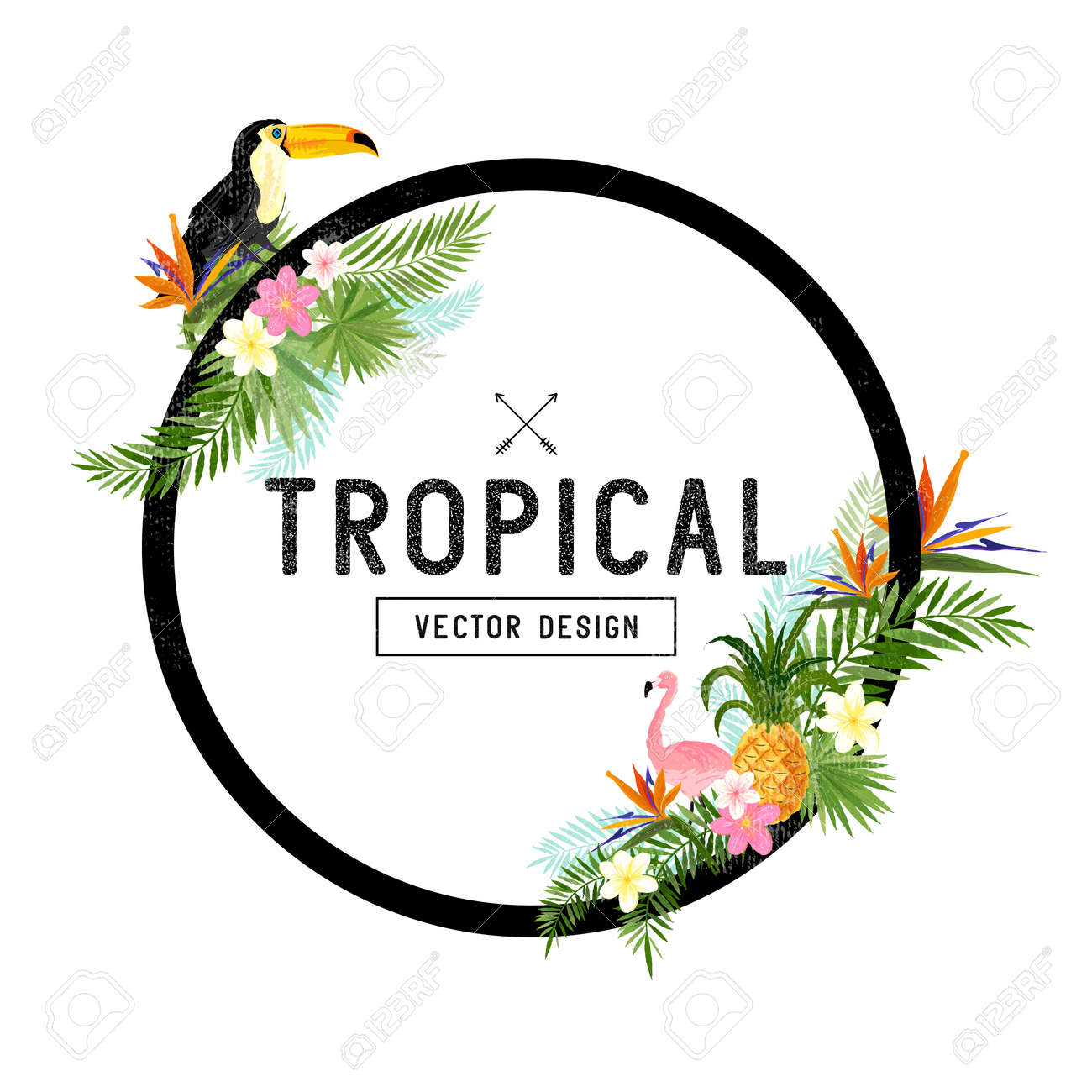 Tropical Border Design. tropical hand drawn elements including bird of paradise flower, Toucan and flamingo birds and tropical floral elements. - 54312252 Tropical Border Design. tropical hand drawn elements including bird of paradise flower, Toucan and flamingo birds and tropical floral elements. - 54312252