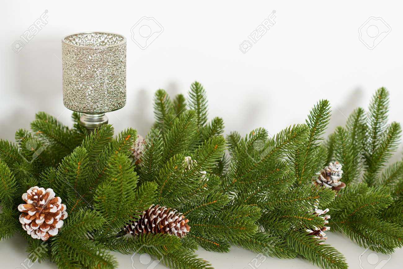 christmas tree branch with