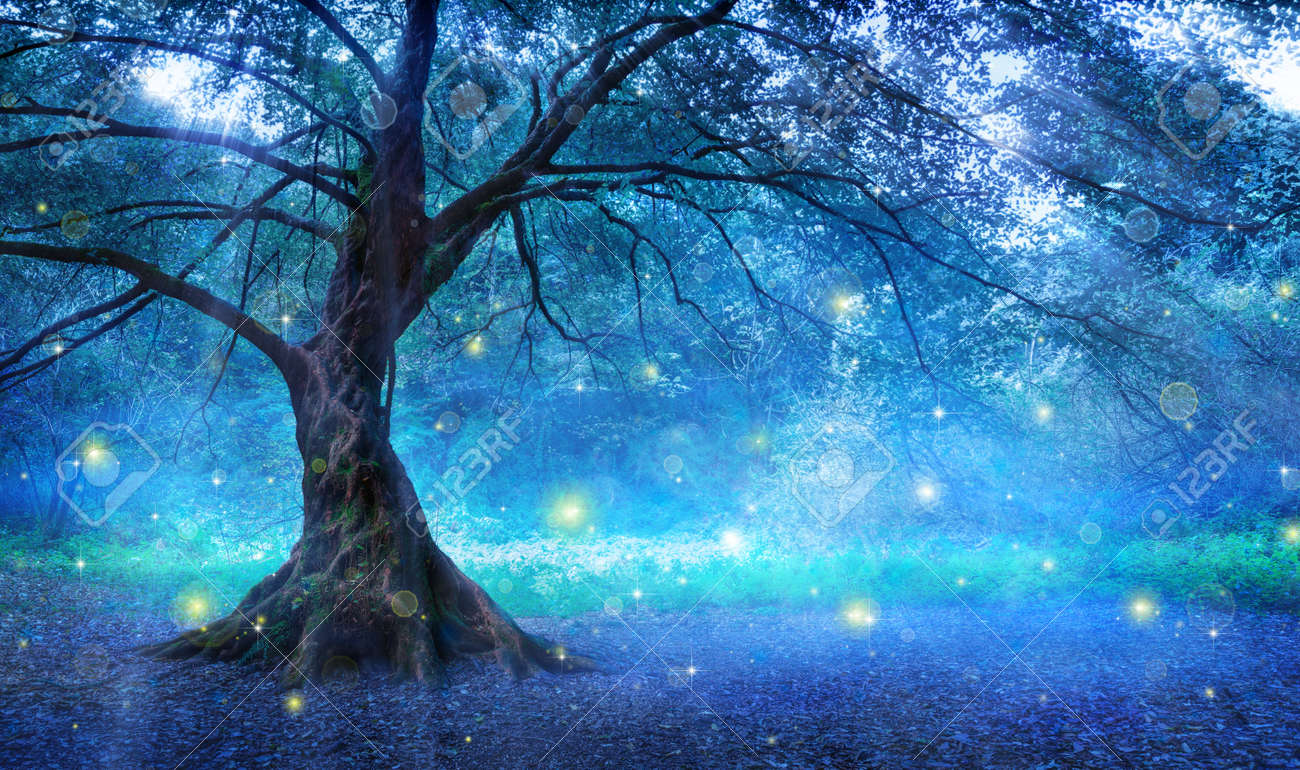 Arbre Feerique Dans Mystic Forest Banque D Images Et Photos Libres De Droits Image