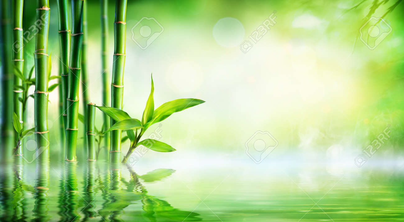 reflection background