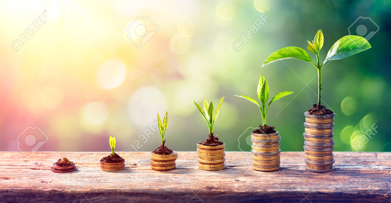Money Growth Concept - Plants On Coin Stacks In Increase - 162813981 Money Growth Concept - Plants On Coin Stacks In Increase - 162813981