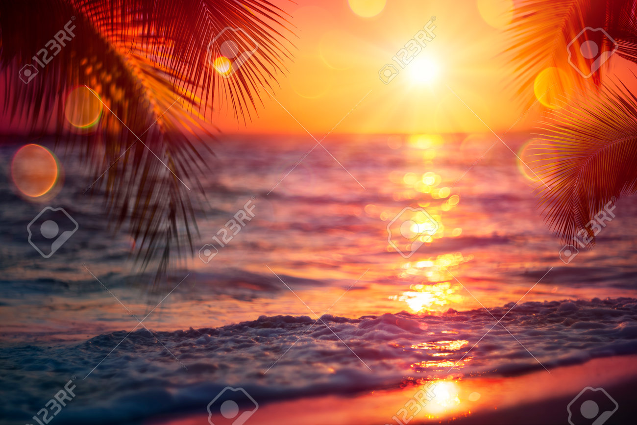 Blurred Sunset On Sea With Palm Leaves - Abstract Defocused Summer Vacation Background - 169657751 Blurred Sunset On Sea With Palm Leaves - Abstract Defocused Summer Vacation Background - 169657751