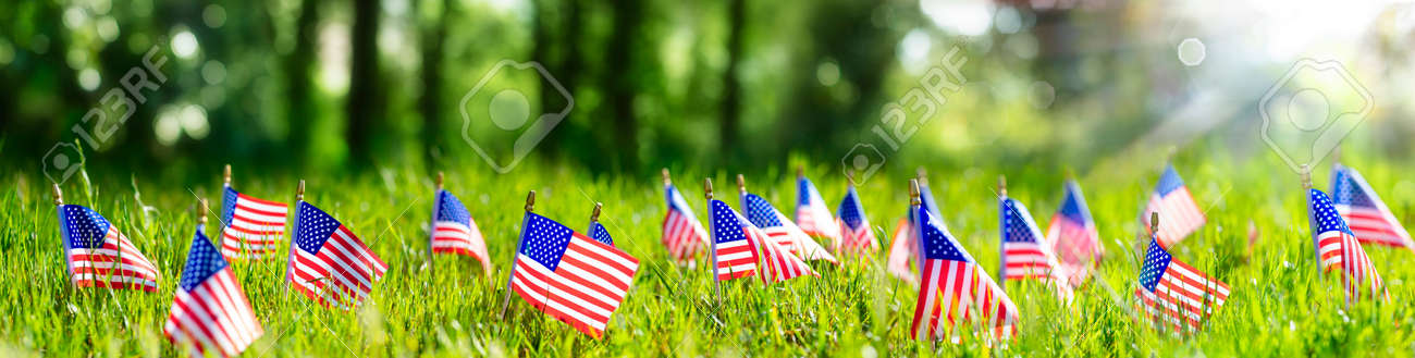 American Flags In Grass - Defocused Abstract Memorial Day background - 169657760 American Flags In Grass - Defocused Abstract Memorial Day background - 169657760