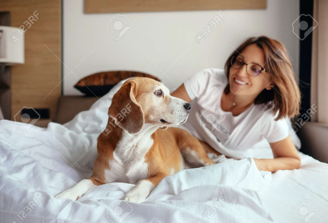 Frau Und Beagle Hund Aufwachen Und Sich Am Fruhen Tag Im Bett Lizenzfreie Fotos Bilder Und Stock Fotografie Image 88673069