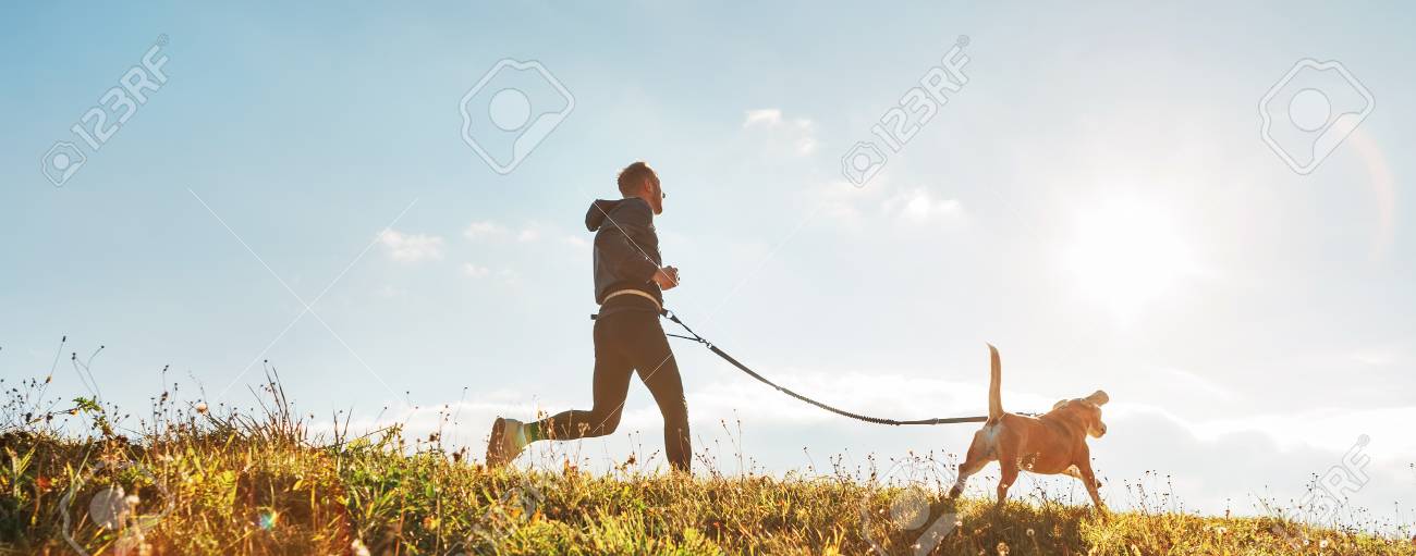 Man runs with his beagle dog at sunny morning. - 114529750 Man runs with his beagle dog at sunny morning. - 114529750