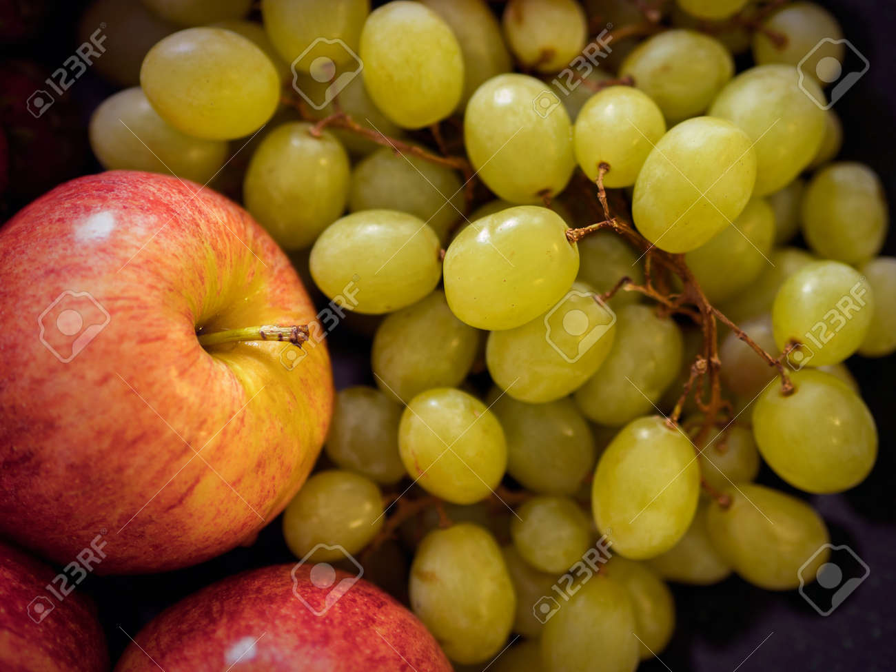 etiam-dictum-ipsum-a-felis