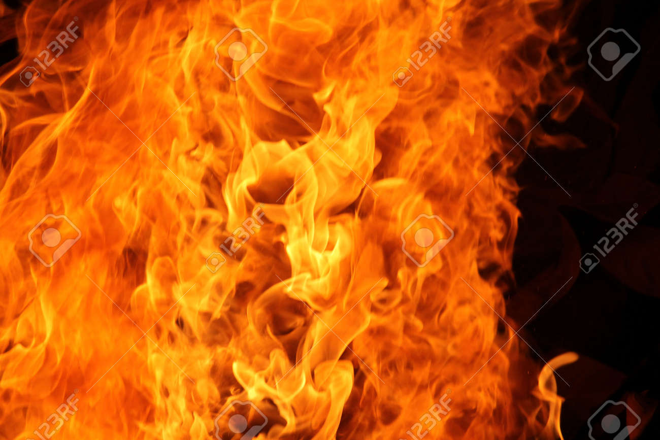 etiam-dictum-ipsum-a-felis