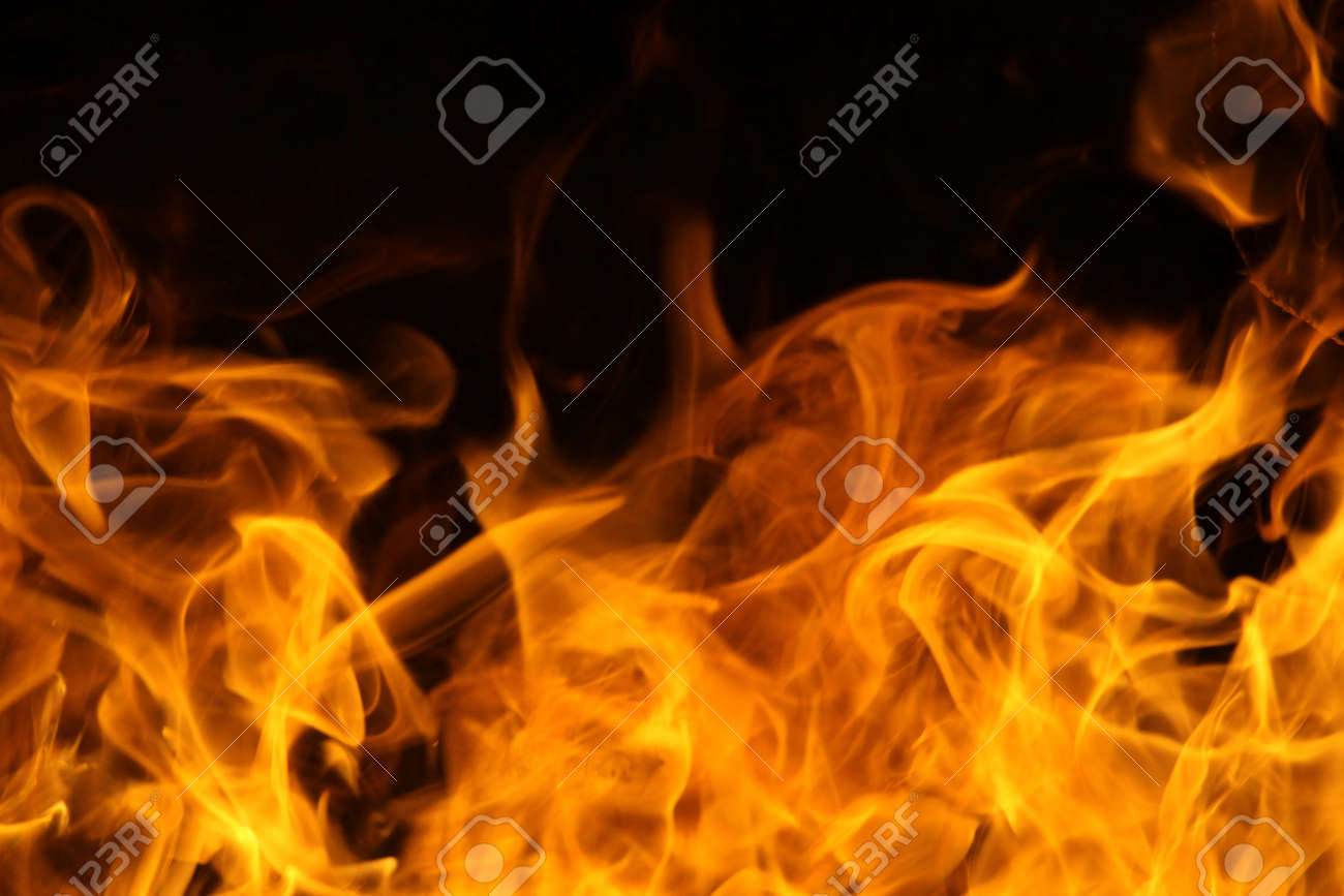 etiam-dictum-ipsum-a-felis