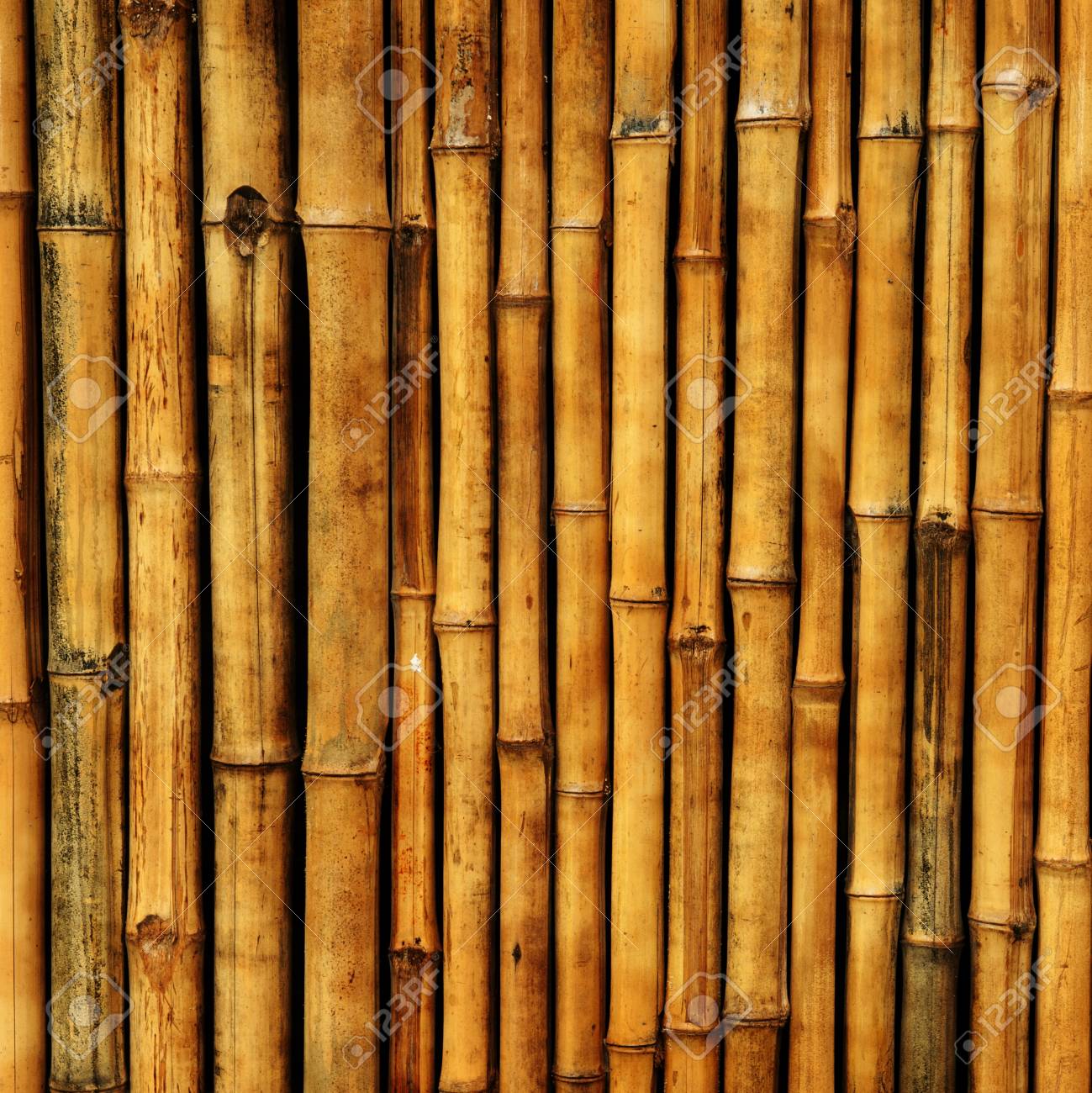 古い竹テクスチャ の写真素材 画像素材 Image 古い竹テクスチャ の写真素材 画像素材 Image