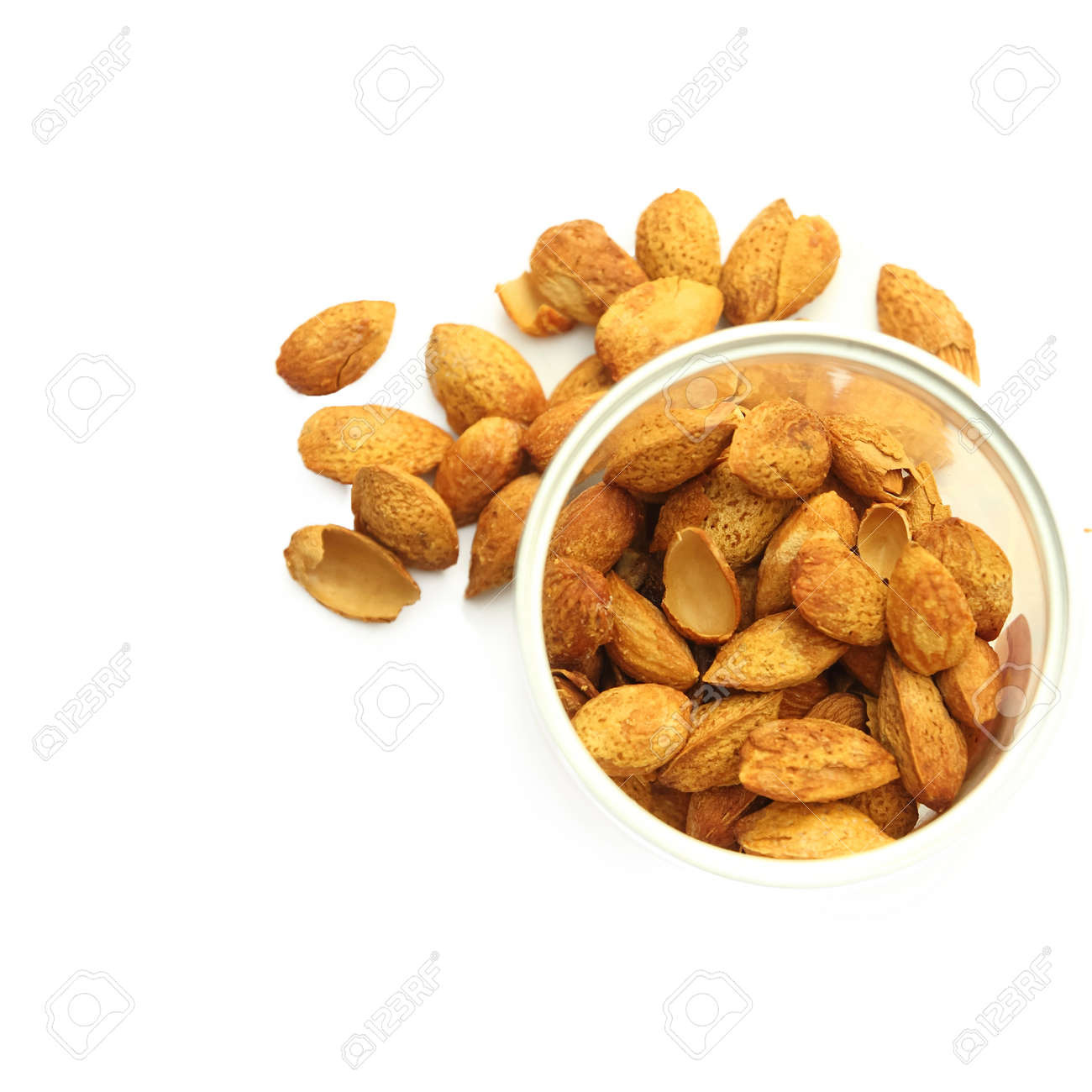 etiam-dictum-ipsum-a-felis