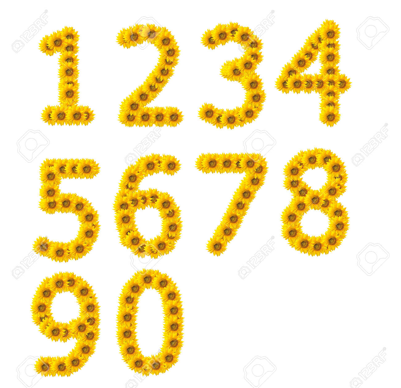 Sunflower Numbers 1 2 3 4 5 6 7 8 9 Isolated On White Background Stock Photo Picture And Royalty Free Image Image 1180