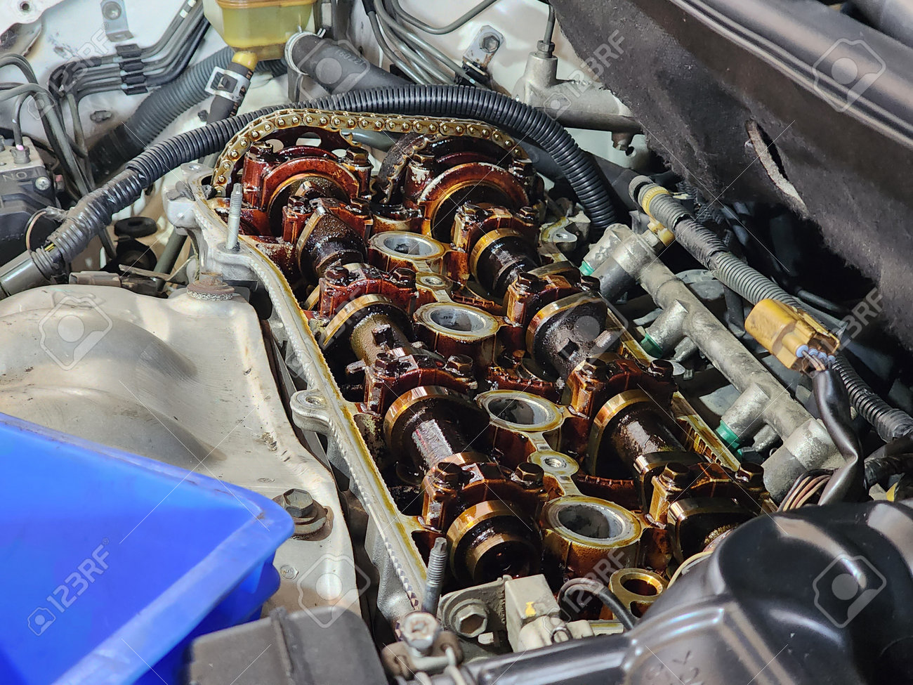 etiam-dictum-ipsum-a-felis