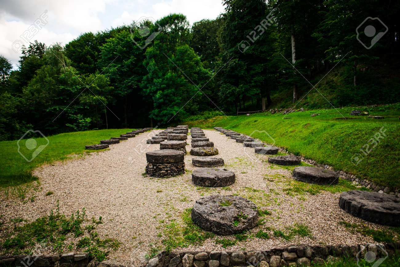 etiam-dictum-ipsum-a-felis