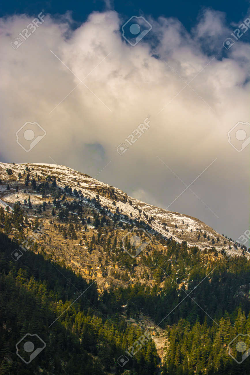 etiam-dictum-ipsum-a-felis