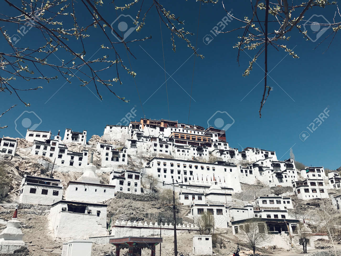 etiam-dictum-ipsum-a-felis