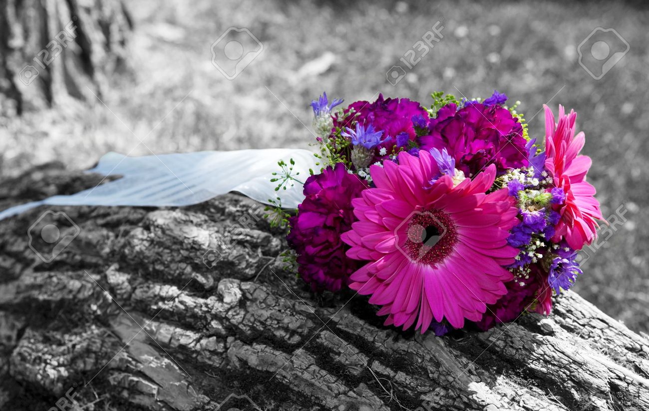 Eine Schone Bridal Bouquet Links Sitzend Auf Einem Baumstamm Schwarz Weiss Bild Mit Farbe Getont Blumen Lizenzfreie Fotos Bilder Und Stock Fotografie Image