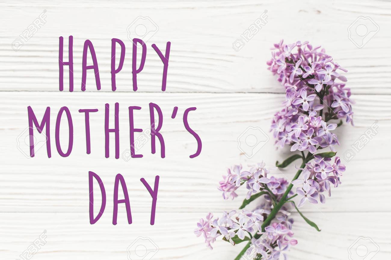 Happy Mother S Day Text Sign Greeting Card Gentle Purple Lilac