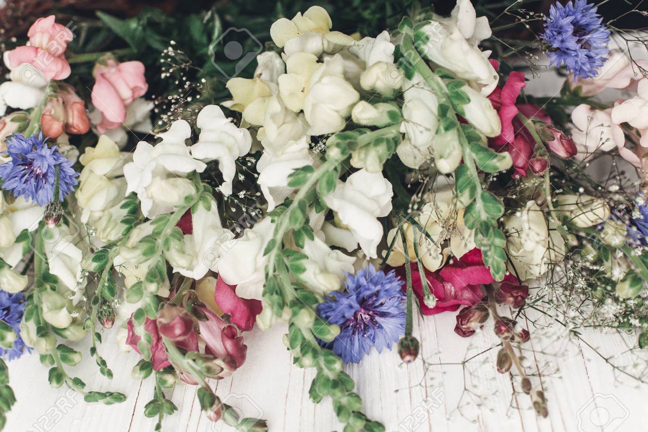 Concepto de jardinería con mujer sujetando bolsa con flores Concepto de jardinería con mujer sujetando bolsa con flores