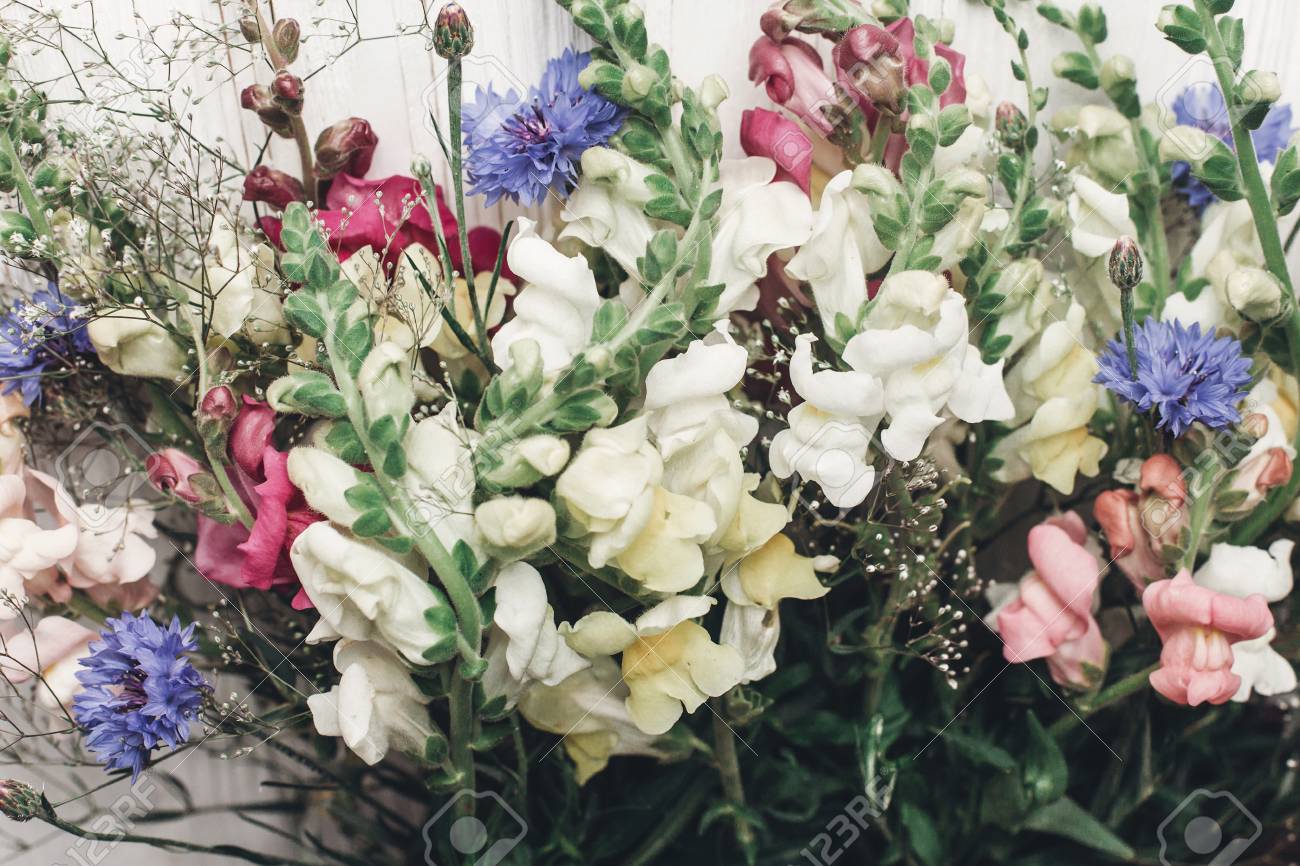 Concepto de jardinería con mujer sujetando bolsa con flores Concepto de jardinería con mujer sujetando bolsa con flores