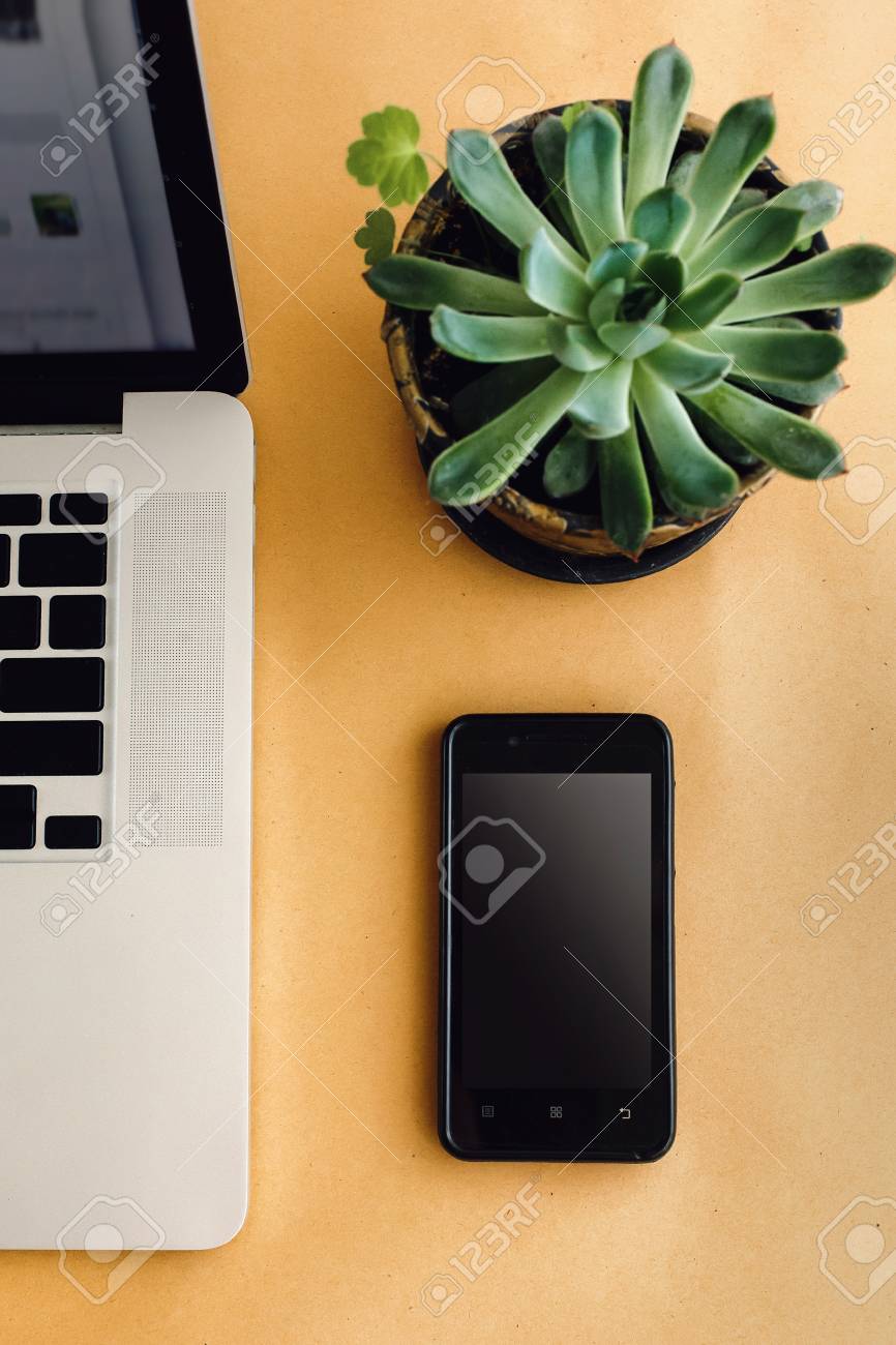 stylish silver laptop pen phone and succulent on wooden craft freelance marketing work