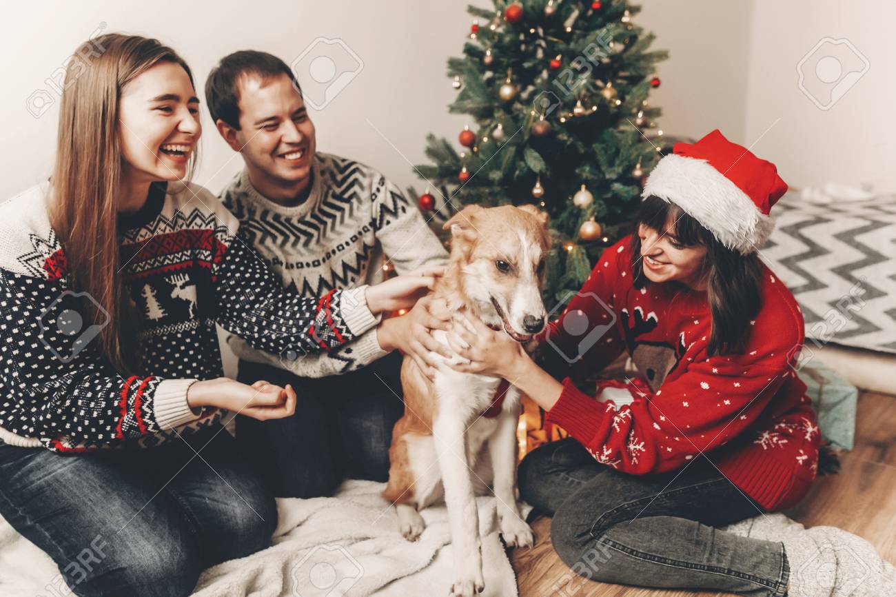 happy family in stylish sweaters and cute dog having fun at christmas..