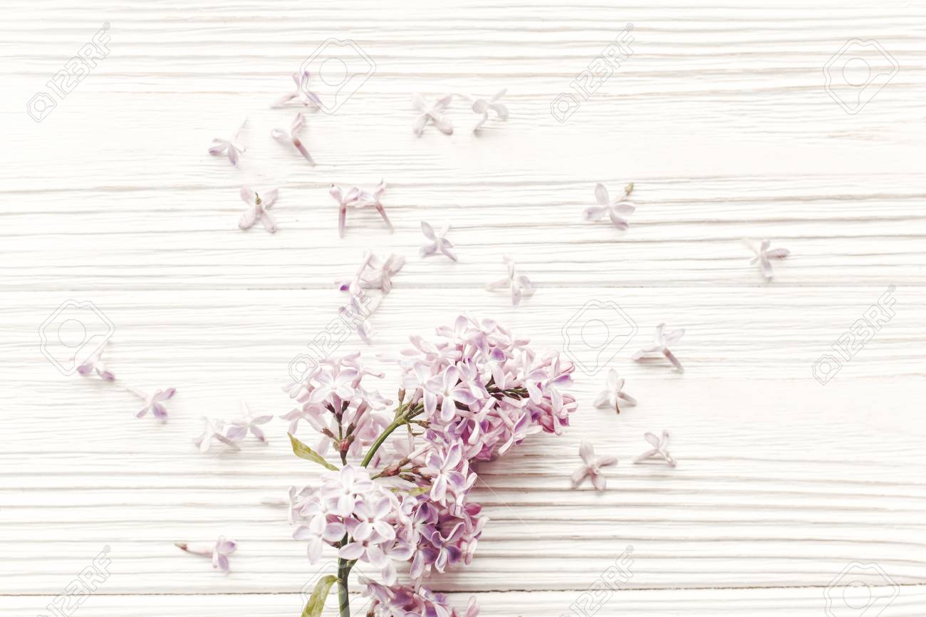 Feliz Dia Das Maes Primavera Plana Leigos Com Flores Lilas Macias Em Luz Suave Na Vista Superior Do Plano De Fundo De Madeira Rustica Ola Primavera Dia Das Mulheres Cartao De Saudacao