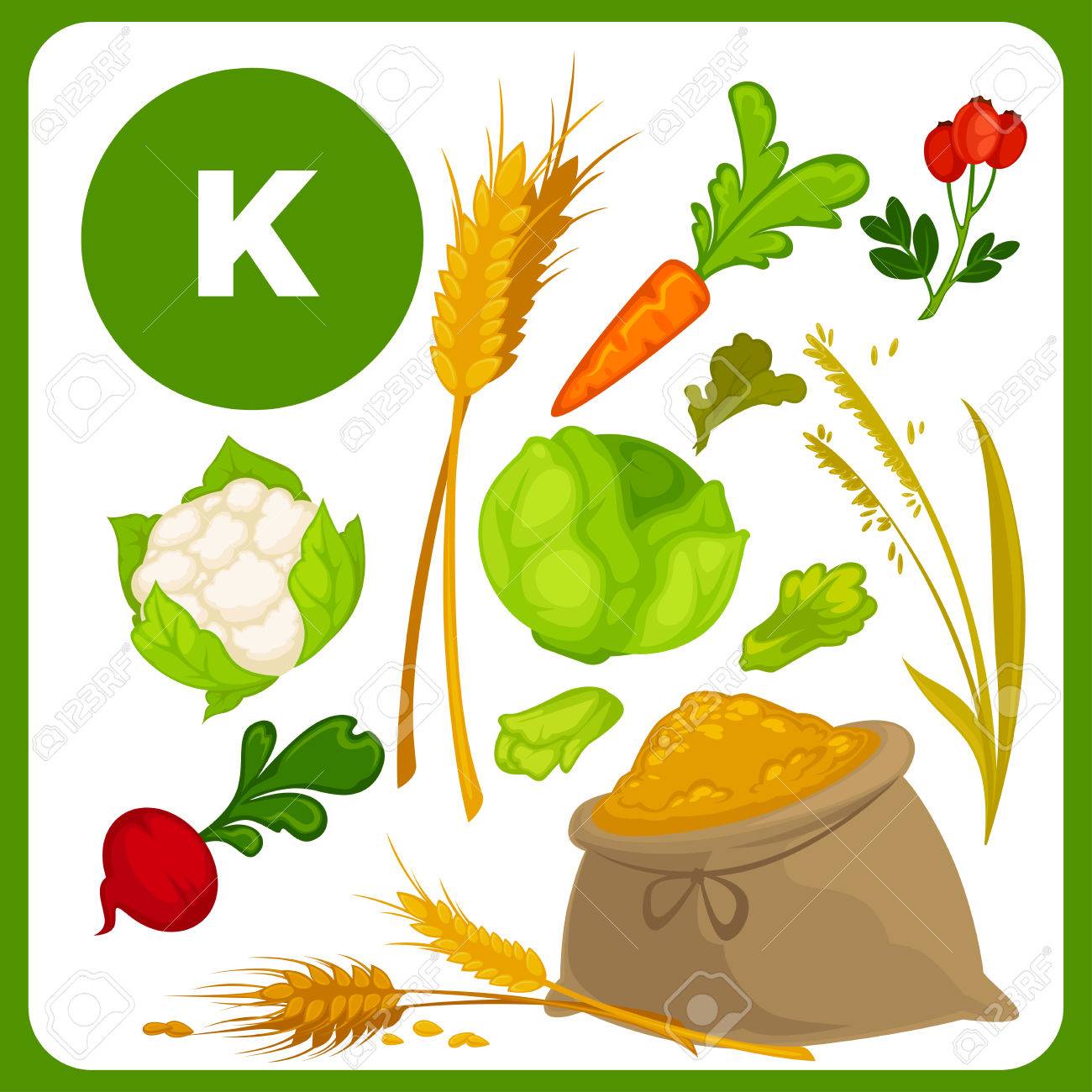 ビタミン K と食べ物のイラスト素材 ベクタ Image 69487694