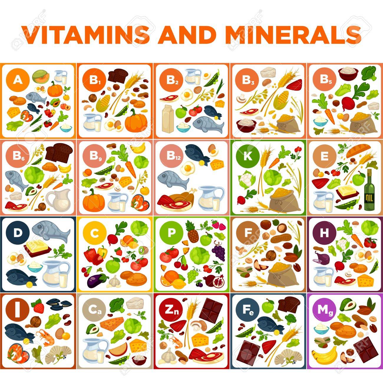 Verduras vitaminas y minerales