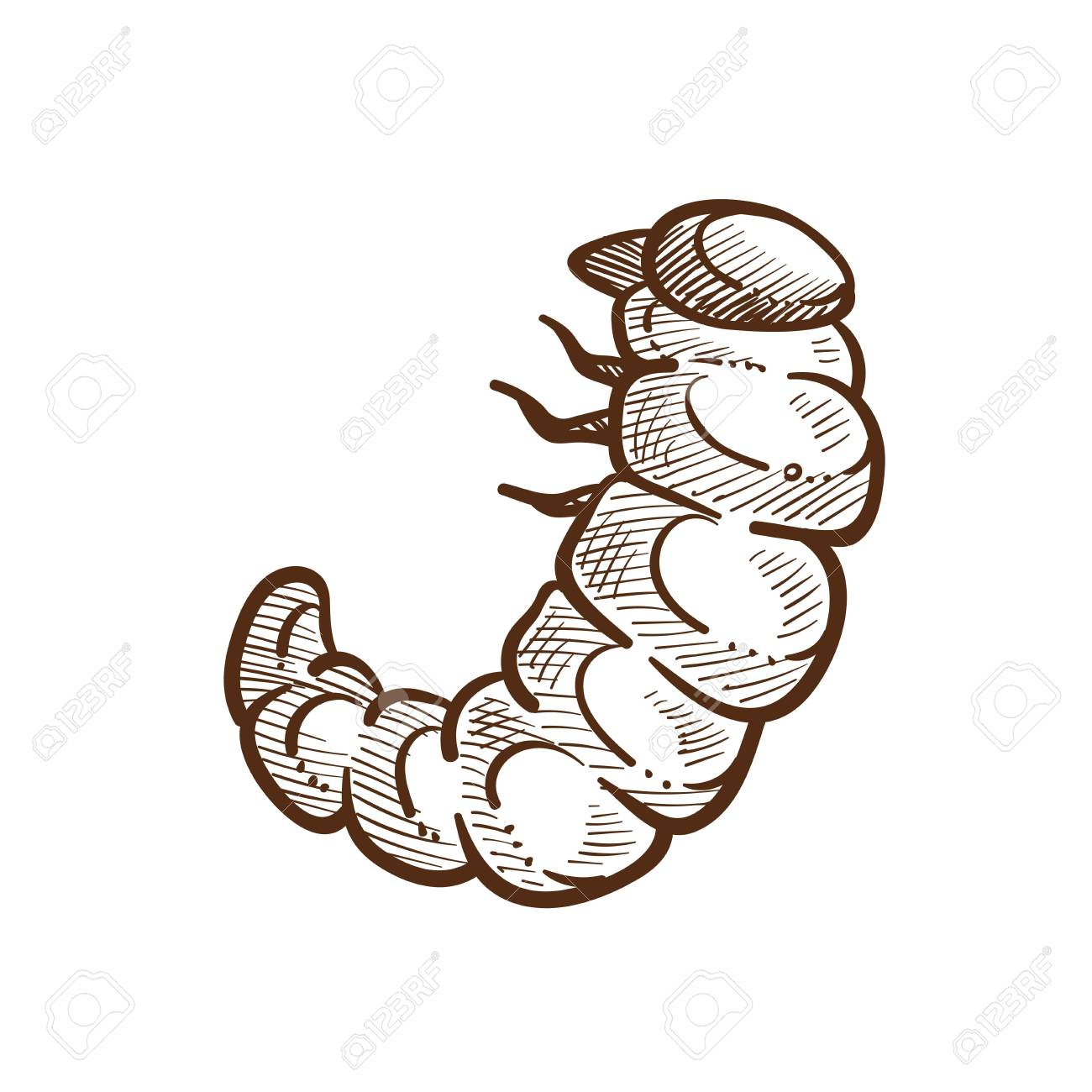 caterpillar outline