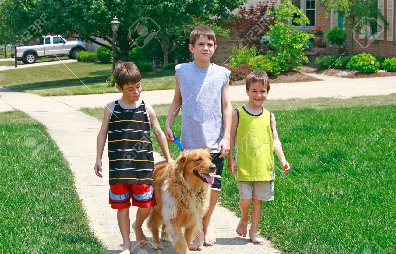 big dog seat belt company