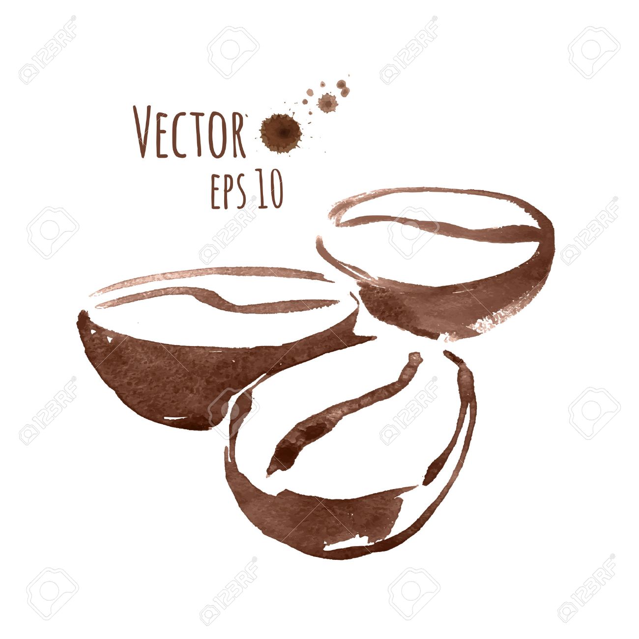 Hand Drawn Watercolor Sketch Of Coffee Beans. Royalty Free SVG, Cliparts,  Vectors, and Stock Illustration. Image 38353610., image size:1300x1300